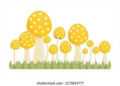 Conjunto de champiñones. Colección de diferentes hongos. Ilustración vectorial de hongos