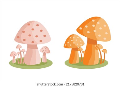 Set of mushrooms. Collection of different mushrooms. Mushrooms vector illustration