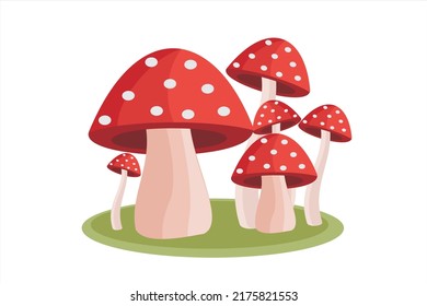 Conjunto de champiñones. Colección de diferentes hongos. Ilustración vectorial de hongos
