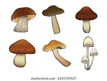 Set with mushrooms in color vintage style. Hand drawn and isolated on monochrome background. Perfect for vintage or magical designs. Vector illustration.