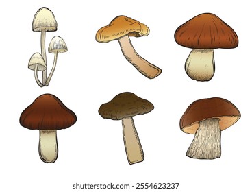 Set with mushrooms in color vintage style. Hand drawn and isolated on monochrome background. Perfect for vintage or magical designs. Vector illustration.