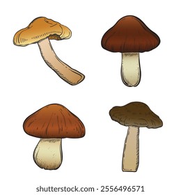 Set with mushrooms in color vintage style. Hand drawn and isolated on monochrome background. Perfect for vintage or magical designs. Vector illustration.