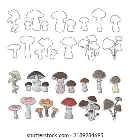 Set of mushrooms in the colors of boho and outline style- boletus, oyster mushrooms, porcini mushrooms, russula, toadstools, fly agaric, chanterelles, honey mushrooms, drawn in a doodle style. Vector