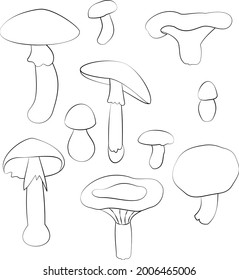 Set Mushrooms Contour Mushrooms Vector On Stock Vector (Royalty Free ...