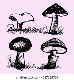 set of mushrooms, edible and inedible, doodle style, sketch illustration