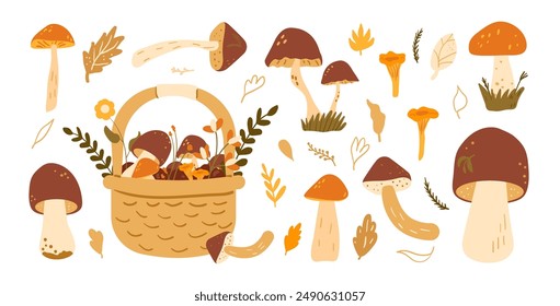 Set of mushrooms. forest harvesting kit. Vector hand drawn flat collection illustration isolated on white background.