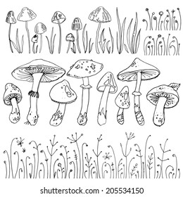 Set mushrooms, forest herbs, poisonous mushrooms. Vector elements, pattern isolated on white. Drawing a black line