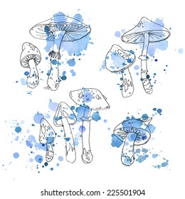Set mushrooms, forest herbs, poisonous mushrooms. Vector elements, pattern isolated on white. Drawing a black line. Abstract blue spots on a white background