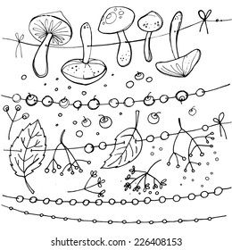 Set mushrooms, forest herbs, poisonous mushrooms. Vector elements, pattern isolated on white. Drawing a black line