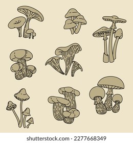 Set with mushrooms. Forest plants. Mushrooms linear sketch. Retro style. Isolated image, vector. Fly agaric, porcini mushroom, boletus, grebe, mushrooms.