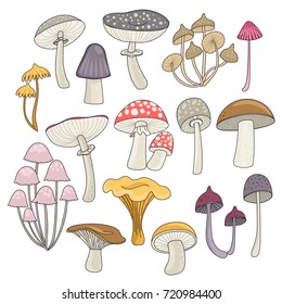 Set with mushrooms. Freehand drawing. Can be used for scrapbook, postcards, print and etc.
