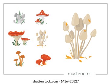 Set with mushrooms. Freehand drawing colorful illustration. Can be used for scrapbook, postcards, print and etc.