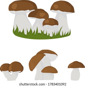 set of mushrooms in the grass on a white background