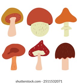 Set of mushrooms isolaed on white background, Mushroom Clip art, Simple Cartoon style