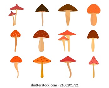 Set of mushrooms isolated on white background. Various mushrooms, edible and toadstools. Poisonous mushrooms and hallucinogenic fly agaric. Icon for banners and promotional items. Vector illustration