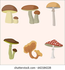 Set of mushrooms isolated on white background