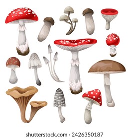 Set of the mushrooms isolated. Vector