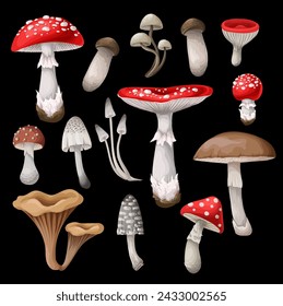 Set of the mushrooms isolated. Vector