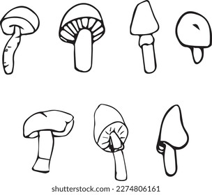 Set mushrooms line art. Vector illustration of mushrooms.