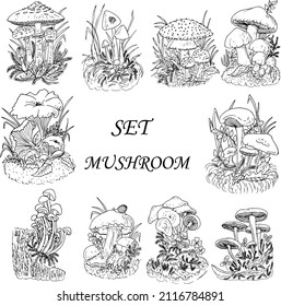 A set of mushrooms on the lawn in the grass .Black and white illustration ,doodles,abstraction,vector.