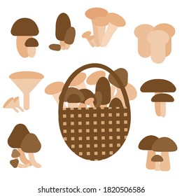 Set of mushrooms on white background. Autumn concept.