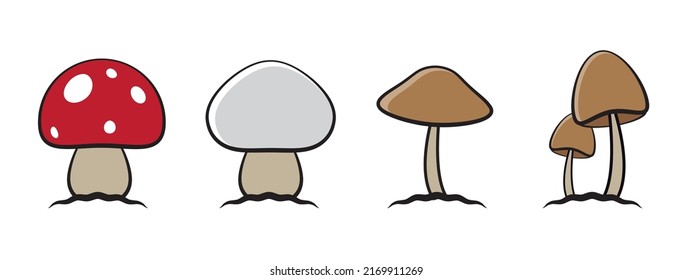Set of mushrooms on white background