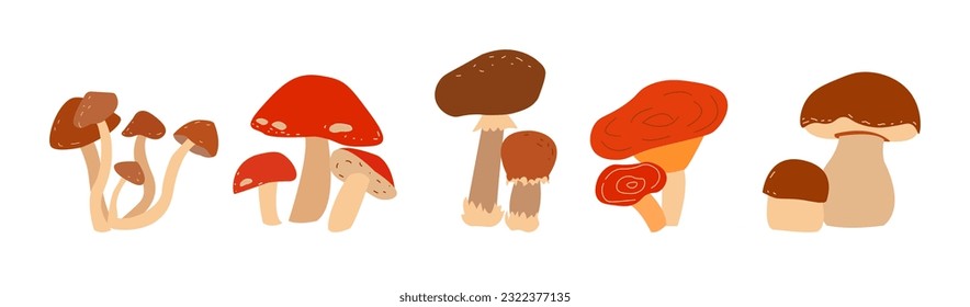 Set with mushrooms on white background. Happy harvest. Vector illustration
