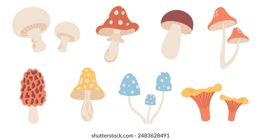 Set of mushrooms on white background, vector illustration