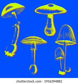 Set of mushrooms in psychedelic colors