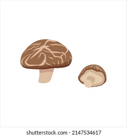 Set of mushrooms shiitake cartoon flat style vector illustration isolated on white background. The concept of Asian cuisine, food