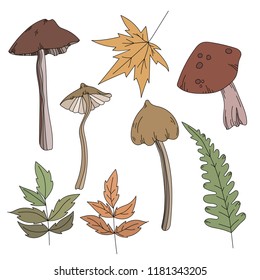Set of mushrooms a sketch of food drawn by a black line, colorful drawing, autumn.