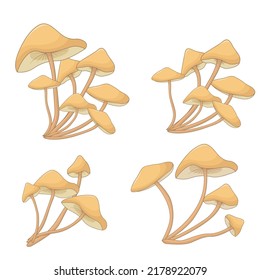 set of mushrooms toadstools. forest plants, mushrooms