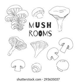 Set of mushrooms. Vector background. Linear hand drawn elements.