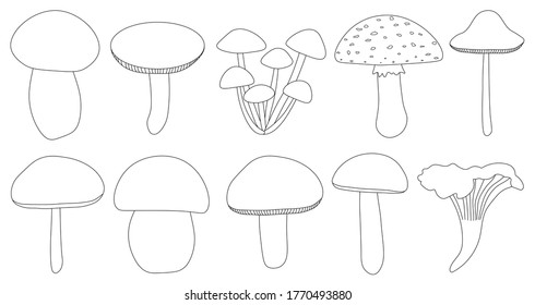 
Set of mushrooms vector black and white colors .