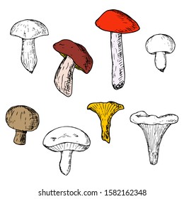 Set of mushrooms. Vector cartoon illustrations. Isolated objects on a white background. Hand-drawn style.