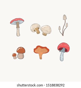 Set of mushrooms. Vector color illustration of mushrooms in doodle style. Engraving Amanita, champignons
