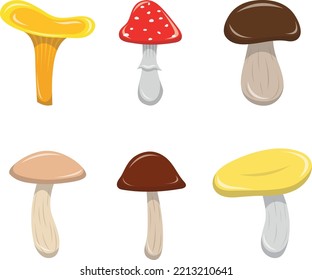 Fijado con hongos, ilustración vectorial.