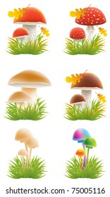 Set of mushrooms vector illustrations