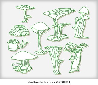 Set of mushrooms vector illustrations