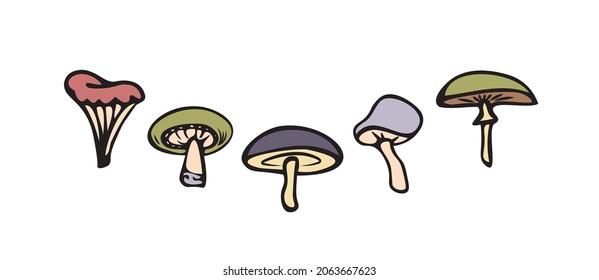 Set of mushrooms. Vector image. Set of colored mushrooms in doodle style, edible and inedible mushrooms. Template for creating compositions, printing patterns.