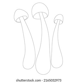 Set of mushrooms vector simple illustration isolated on white background. Outline hand drawn sketched version. Vector mycology. Natural healthy fungus, autumn design.