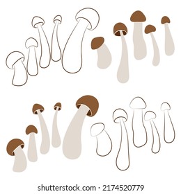 Set of mushrooms vector simple illustration isolated on white background. Brown outline and colored hand drawn sketched version. Vector mycology. Natural healthy fungus, autumn design.