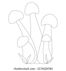 Set of mushrooms vector simple illustration isolated on white background. Outline hand drawn sketched version. Vector mycology. Natural healthy fungus, autumn design.