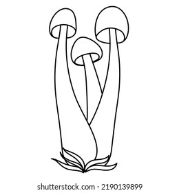 Set of mushrooms vector simple illustration isolated on white background. Outline hand drawn sketched version. Vector mycology. Natural healthy fungus, autumn design.