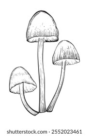 Set with mushrooms vintage style. Hand drawn and isolated on monochrome background. Perfect for vintage or magical designs. Vector illustration.