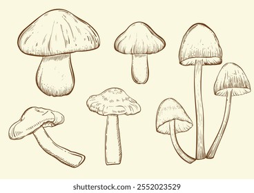 Set with mushrooms vintage style. Hand drawn and isolated on monochrome background. Perfect for vintage or magical designs. Vector illustration.