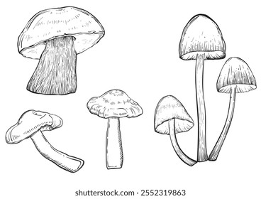 Set with mushrooms vintage style. Hand drawn and isolated on monochrome background. Perfect for vintage or magical designs. Vector illustration.