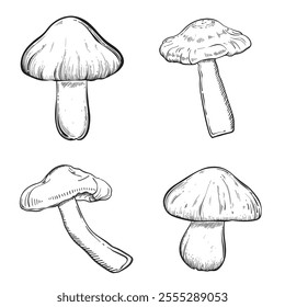 Set with mushrooms vintage style. Hand drawn and isolated on monochrome background. Perfect for vintage or magical designs. Vector illustration. Hand drawn.