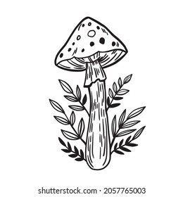 Set of mushrooms for witchcraft. Vector isolated illustration with fungies for poison.
