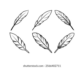 set of musical instruments vector
